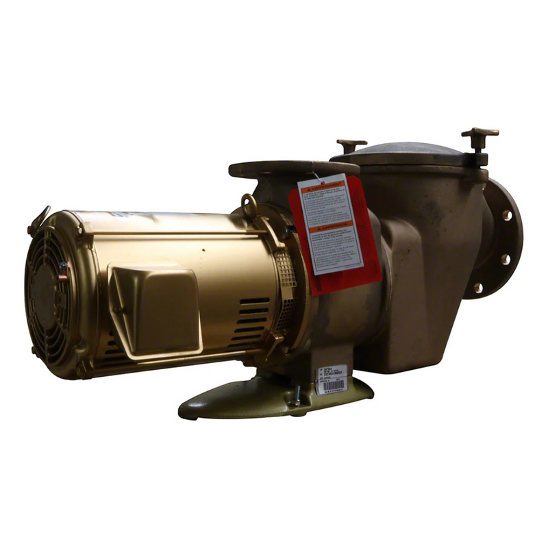 Pentair 10HP C Series High Head Commercial Bronze Pump - 220/440V 3-Phase (CHK-100 011659)