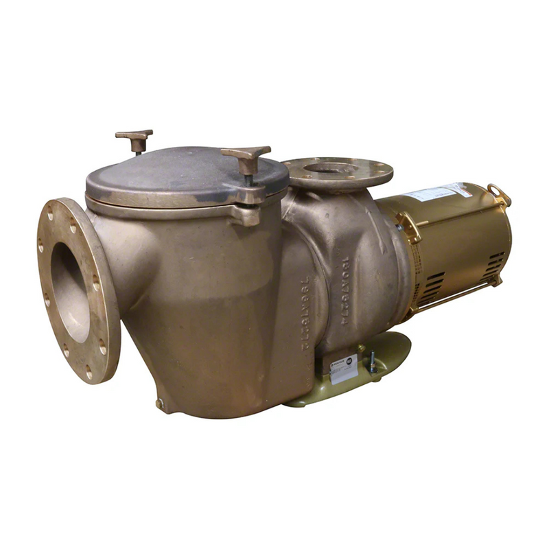 Pentair 10HP C Series High Head Commercial Bronze Pump - 220/440V 3-Phase (CHK-100 011659)