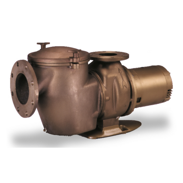 Pentair 20HP C Series High Head Commercial Bronze Pump - 220/440V 3-Phase (CHK-200 011661)