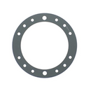 Speck 2308750005 Clamping Ring Gasket